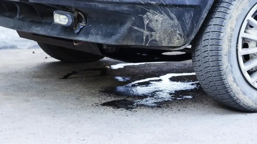 transmission leak under car red fluid puddle beneath vehicle